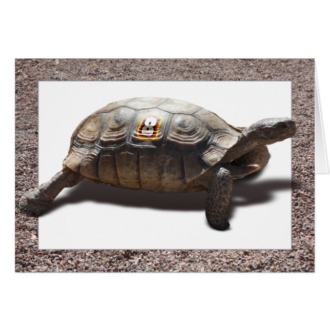 Racer (Voorkant Horizontaal)