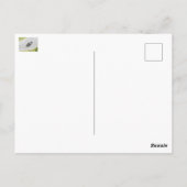 races briefkaart (Achterkant)