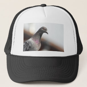 Racestuif Trucker Pet
