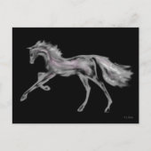 Rachel Alexandra ~ Carte postale (Devant)