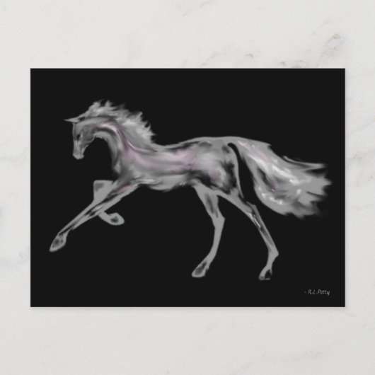 Rachel Alexandra ~ Carte postale (Devant)