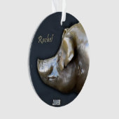 RACHEL DE PIGGY BANK Ornament (voorkant)