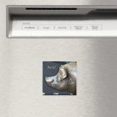 RACHEL DE SPAARVARKEN magneet (Insitu (Vaatwasser))