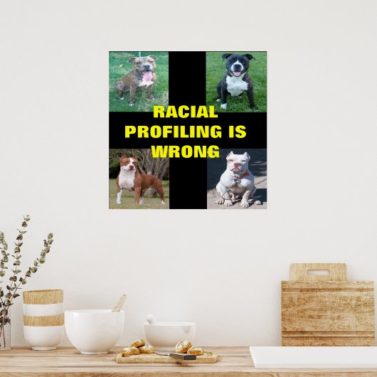 Raciale profilering poster (Keuken)