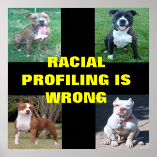 Raciale profilering poster