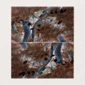 "Racines" Arbres Gnarled, Aiguilles De Pins, Planc (Outside Unfolded)