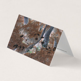 "Racines" Arbres Gnarled, Aiguilles De Pins, Planc