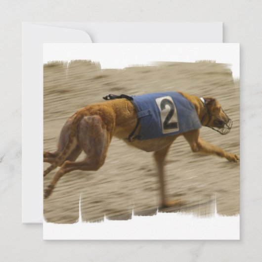 Racing Greyhound Dog Invitation Kaart (Voorkant)