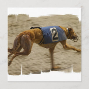 Racing Greyhound Dog Invitation Kaart