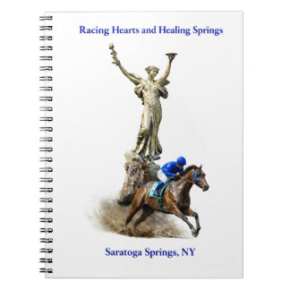 Racing Hearts and Healing Springs Notebook Notitieboek