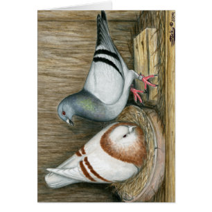 Racing Homers Home Life