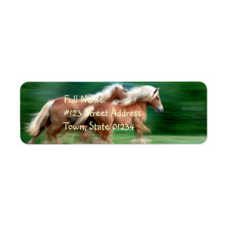 Racing Palomino retour adres label