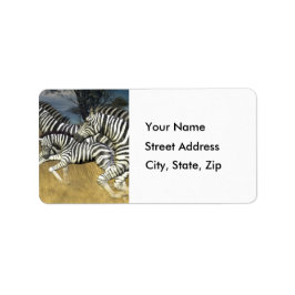 Racing Stripes - Zebra Adresetiketten Etiket