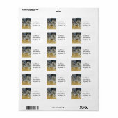 Racing Stripes - Zebra Adresetiketten Etiket (Full Sheet)