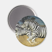 Racing Stripes - Zebra Magneet (Voorkant / Achterkant)