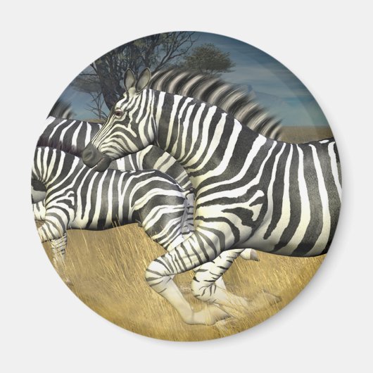 Racing Stripes - Zebra Magneet (Voorkant)