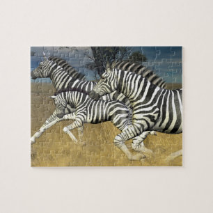 Racing Stripes, Zebra-puzzel Legpuzzel