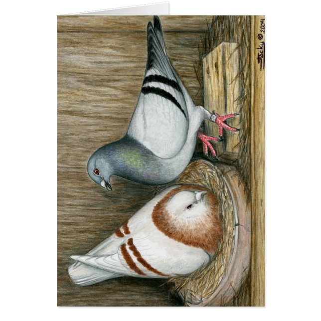 Racing thuisleven (Voorkant)