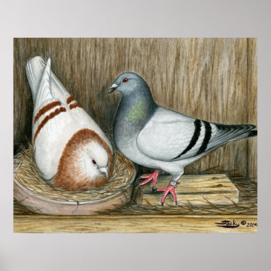 Racing thuisleven poster (Voorkant)