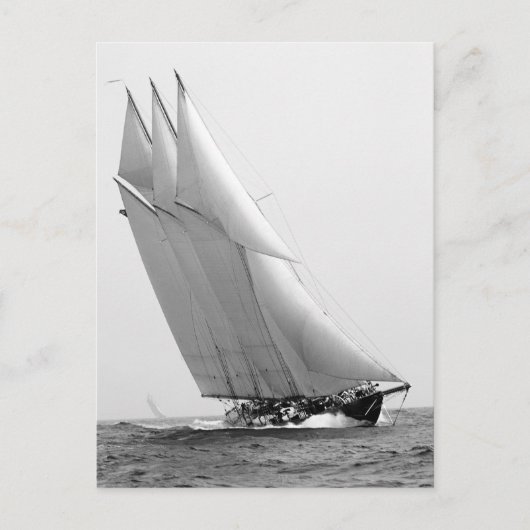 Racing Yacht Atlantic, 1904 Briefkaart (Voorkant)