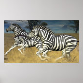 Racingstrips — Afdruk van Zebra Poster (Voorkant)