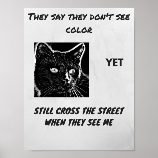 Racisme superstitie zwarte kat citaat poster (Voorkant)