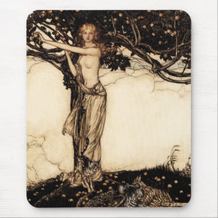 Rackham CC0018 Muismat