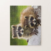 Racons Legpuzzel (Verticaal)