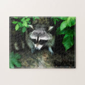 Racoon Game Puzzle (Horizontal)