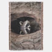 Racoon in boomgrot deken (Voorkant Verticaal)