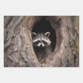 Racoon in boomgrot inpakpapier vel (Voorkant)