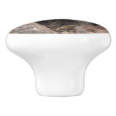 Racoon in boomgrot keramische knop (Zijkant)