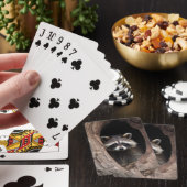 Racoon in boomgrot pokerkaarten (Insitu)