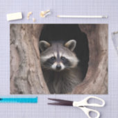 Racoon in boomgrot tissuepapier (Craft)