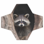 Racoon in boomgrot voetbal (Enkel)