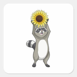 Racoon met zonnebloem vierkante sticker