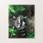 Racoon spel puzzel (Verticaal)