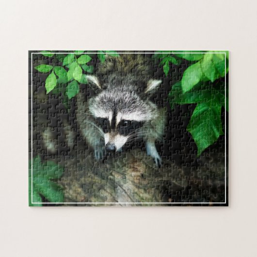 Racoon spel puzzel legpuzzel (Horizontaal)
