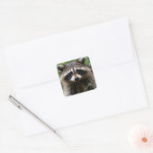 Racoon uitziend vierkante sticker (Envelop)