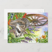 Racoon van de bloementuin briefkaart (Voorkant / Achterkant)