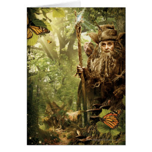 RADAGAST™ in het bos