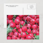 Raden Briefkaart (Voorkant / Achterkant)