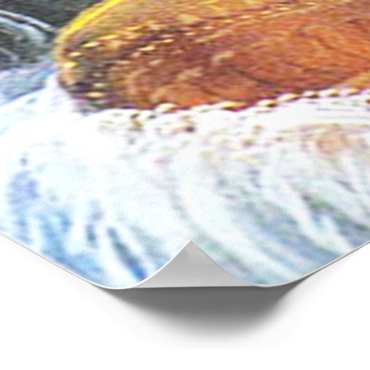 radha-krishna poster (Hoek)