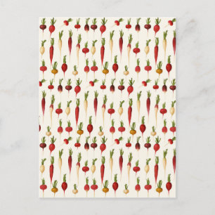 Radiaalvariëteiten van Ernst Benary Briefkaart