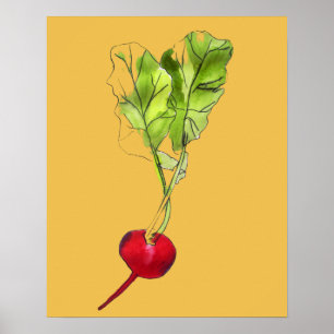 Radiale waterverf voor de illustratie van groenten poster