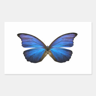 Radiant Blue Butterfly Rechthoekige Sticker