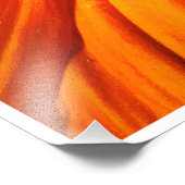 Radiant Orange Flower Macro Wall Art Print Photo (Coin)