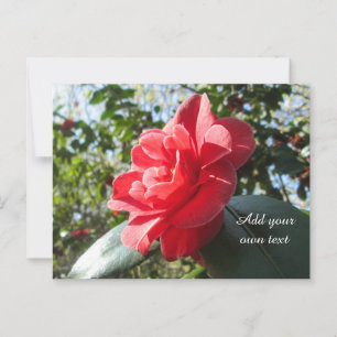 Radiant Red Camellia - gepersonaliseerd Briefkaart