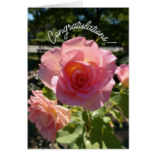 Radiant Roze Thee Roos Gefeliciteerd Kaart