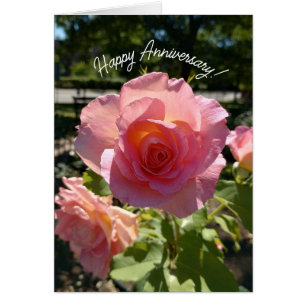 Radiant Roze Thee Roos Jubileum Kaart